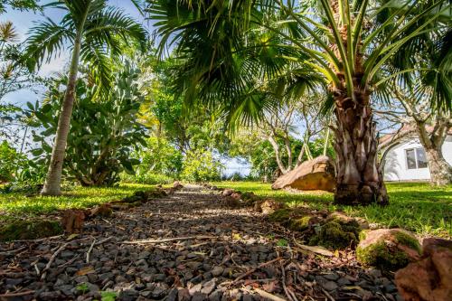 a gravel road in front of a palm tree at Villa Margarita in Alajuela City