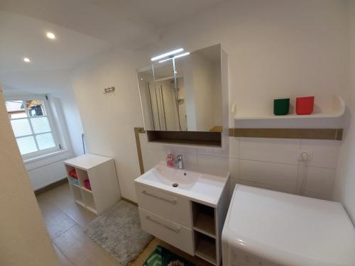 a bathroom with a white sink and a mirror at Apartment Salzburg City in Salzburg
