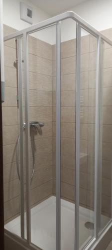 een douche met een glazen deur in de badkamer bij Ikon in Siófok