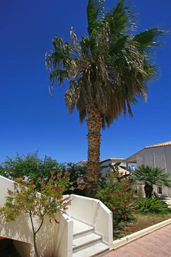 a palm tree with stairs in front of a building at Eurohotel Katrin Suites in Stalida