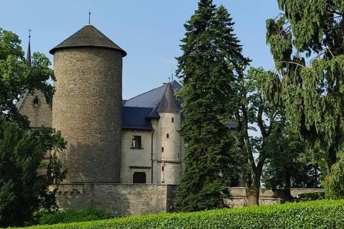 an old castle with a tower and a tree at Studio - Café Princ pod Hradem, KLIMA, WiFi in Šternberk