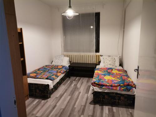 レーヴフュロップにあるFenyő Windsurf vendégházの窓のある小さな部屋にベッドが2つある