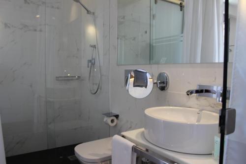 a bathroom with a toilet, sink, and shower stall at Hotel Boutique Caireles in Córdoba