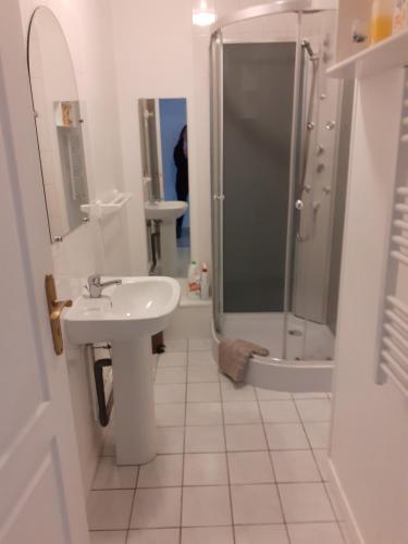 a white bathroom with a shower and a sink at Maison au pays D' Aristide Bruand - Rose-Marie-Courtenay in Courtenay