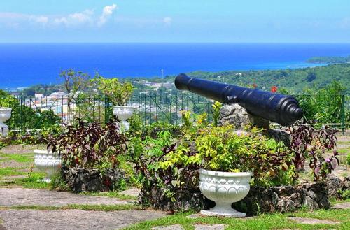 a cannon sitting on top of a field with plants at J Ochi ApartHotel in Ocho Rios