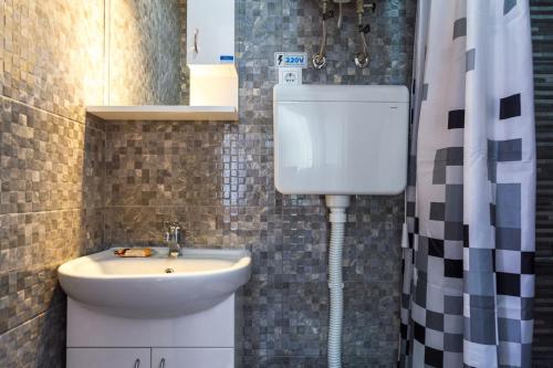 mała łazienka z umywalką i toaletą w obiekcie Studio 1 w mieście Golubac