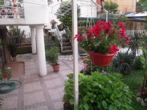 a garden with red flowers in a greenhouse at Lile Pestani Accommodation in Peštani