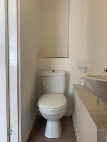 a bathroom with a white toilet and a sink at St Anne's Road Guest House in Exeter