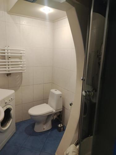 リヴィウにあるАпартаменти у Львовіの小さなバスルーム(トイレ、シンク付)