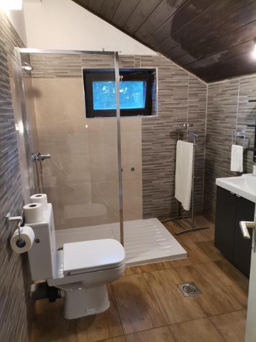 a bathroom with a shower and a toilet and a sink at Fenyő Windsurf vendégház in Révfülöp