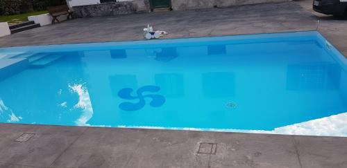 un ours en peluche assis à côté d'une piscine bleue dans l'établissement Chambre d'Hôtes Moulin Urketa, à Ayherre