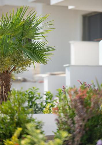 a group of plants in front of a building at Twins Yard in Nikiti