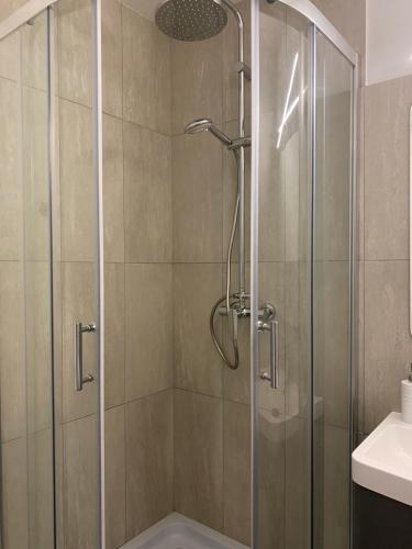 eine Dusche mit Glastür im Bad in der Unterkunft Appartement Place des Promenades in Roanne
