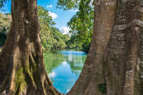 a river between two trees with a view of it at Dream Valley Belize in Teakettle Village