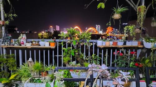 a display of potted plants in a garden at night at Sena home 4th-Rooftop Overlooking Danang Dragon bridge in Da Nang