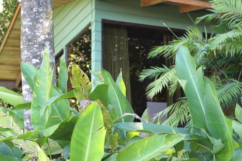 a house with green plants in front of it at Hotel Flor de Bromelia in Monteverde Costa Rica