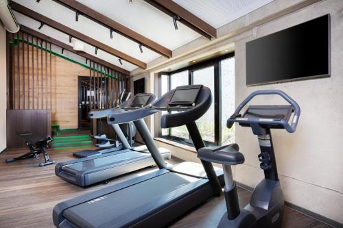 a gym with tread machines and a flat screen tv at Holiday Inn - Osnabrück by IHG in Osnabrück