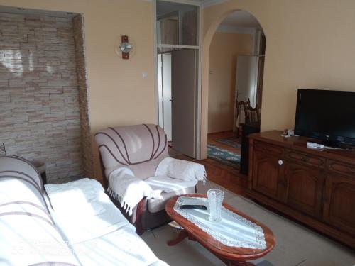 - un salon avec un canapé et une télévision dans l'établissement Vukadinović, à Podgorica