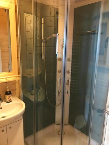 La salle de bains est pourvue d'une douche avec une porte en verre. dans l'établissement Bacówka Szlembark, à Szlembark