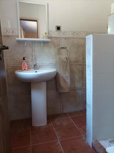 a bathroom with a sink and a mirror at Casa Mirlo in Montmesa