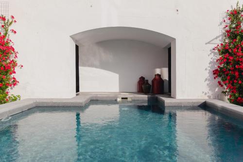 a swimming pool in a white room with red flowers at Casa da Moira in Avis