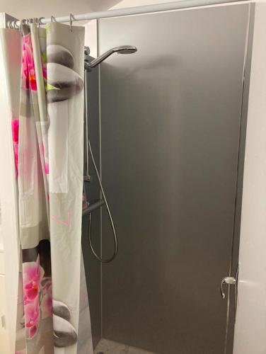 La salle de bains est pourvue d'une douche avec rideau de douche. dans l'établissement Appartement La Libellule, professionnels et vacanciers, à Compreignac