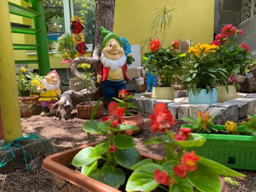 a garden of flowers and plants in a yard at Jacky's House in Chernomorets