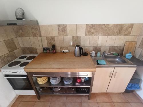 a small kitchen with a counter and a sink at Penzion Jizera Malá Skála in Malá Skála