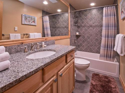 a bathroom with a sink and a toilet and a tub at Beaver Creek West 14 in Avon