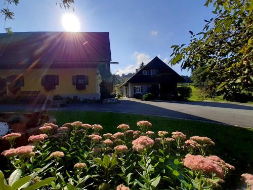 a field of pink flowers in front of a house at Schilcherweinbau Vollmaier vlg. Wieser in Sankt Stefan ob Stainz