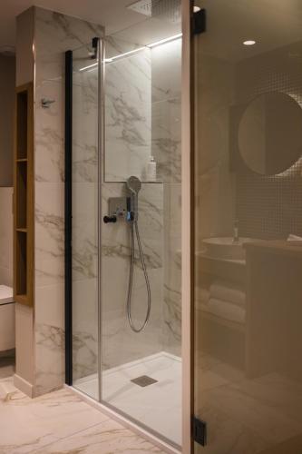 a shower with a glass door in a bathroom at Le Pélican in Annecy