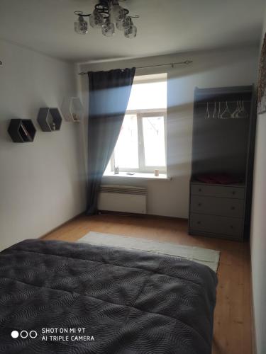 - une chambre avec un lit et une fenêtre dans l'établissement Cozy flat in Latvian style, à Riga