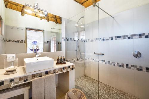 a bathroom with a sink and a shower at Frans Indongo Lodge in Otjiwarongo