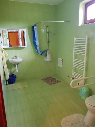 a green bathroom with a toilet and a sink at Tisza-Tavirózsa Vendégház in Tiszaszőlős