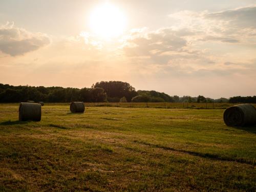 a field filled with hay bales in the sunset at Ugo Apartman in Halászi