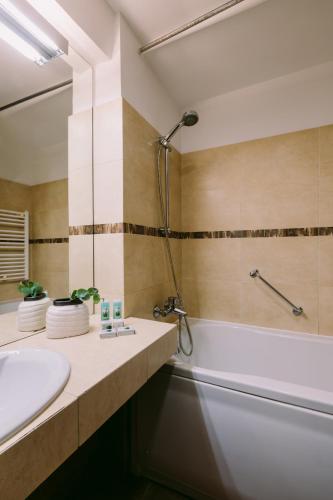 a bathroom with a tub and a sink and a shower at Hotel Timisoara in Timişoara