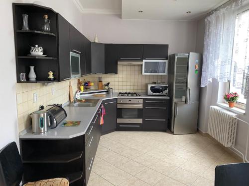 een keuken met zwarte kasten en een roestvrijstalen koelkast bij Jurincom apartments Petrin in Karlsbad