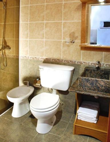 a bathroom with a white toilet and a sink at Candy Apart Hotel in Villa General Belgrano