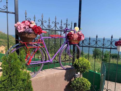 a purple bike with flowers in baskets attached to a fence at Flower Breeze in Chebanka