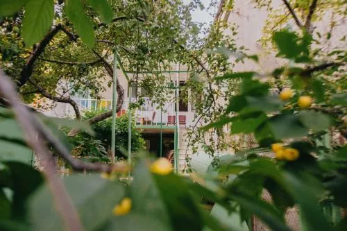 Vanadzor Guest House picture