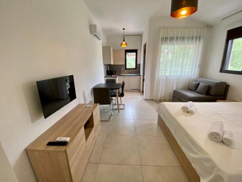 a room with a bed and a tv and a couch at Villa Dolphin Apartments in Petrovac na Moru