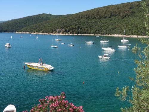 Naturlandskabet i nærheden af lejligheden