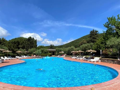 Una gran piscina azul con sillas y sombrillas. en Holiday Home Orso by Interhome, en Riparbella
