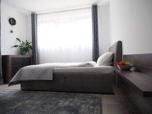 1 dormitorio con cama y ventana grande en Adobe Apartment, en Wroclaw