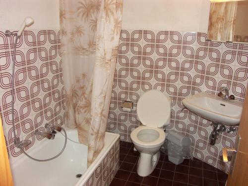 a bathroom with a toilet and a sink at Apartment Cristal 505A in Anzère