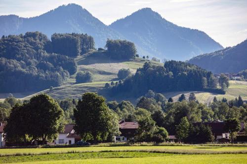 a valley with trees and mountains in the background at Das Bergmayr - Chiemgauer Alpenhotel in Inzell