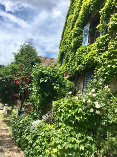 an ivy covered building with a building with roses at B&B de charme La Maison des 5 Temps in Ferrette
