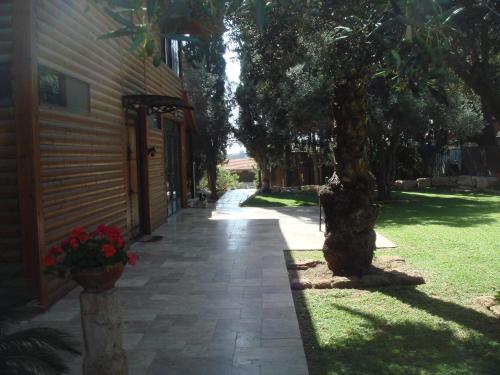 a walkway next to a house with a tree at Lisa's Farm Place in Rishon LeẔiyyon