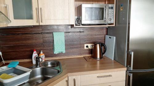 małą kuchnię ze zlewem i kuchenką mikrofalową w obiekcie SPA Apartment Raisova w Karlowych Warach