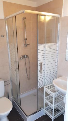 a bathroom with a shower and a toilet and a sink at RIVA Ośrodek Wypoczynkowy in Więcbork